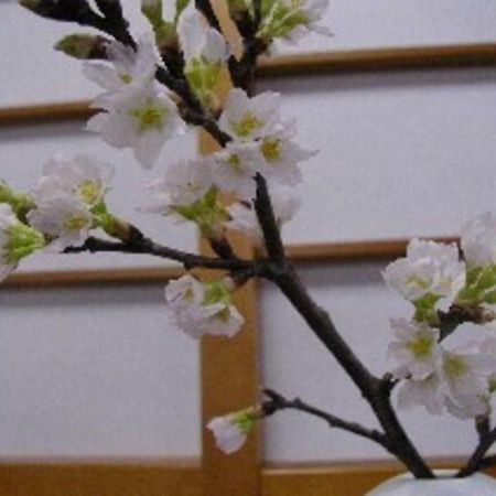 Wakaba Ryokan / Vacation Stay 29366 Саката Экстерьер фото