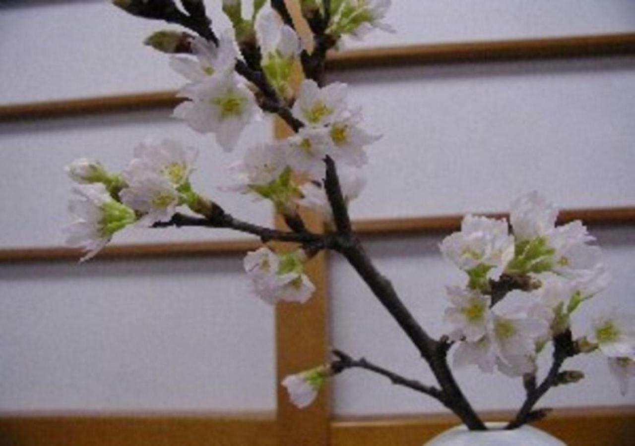 Wakaba Ryokan / Vacation Stay 29366 Саката Экстерьер фото